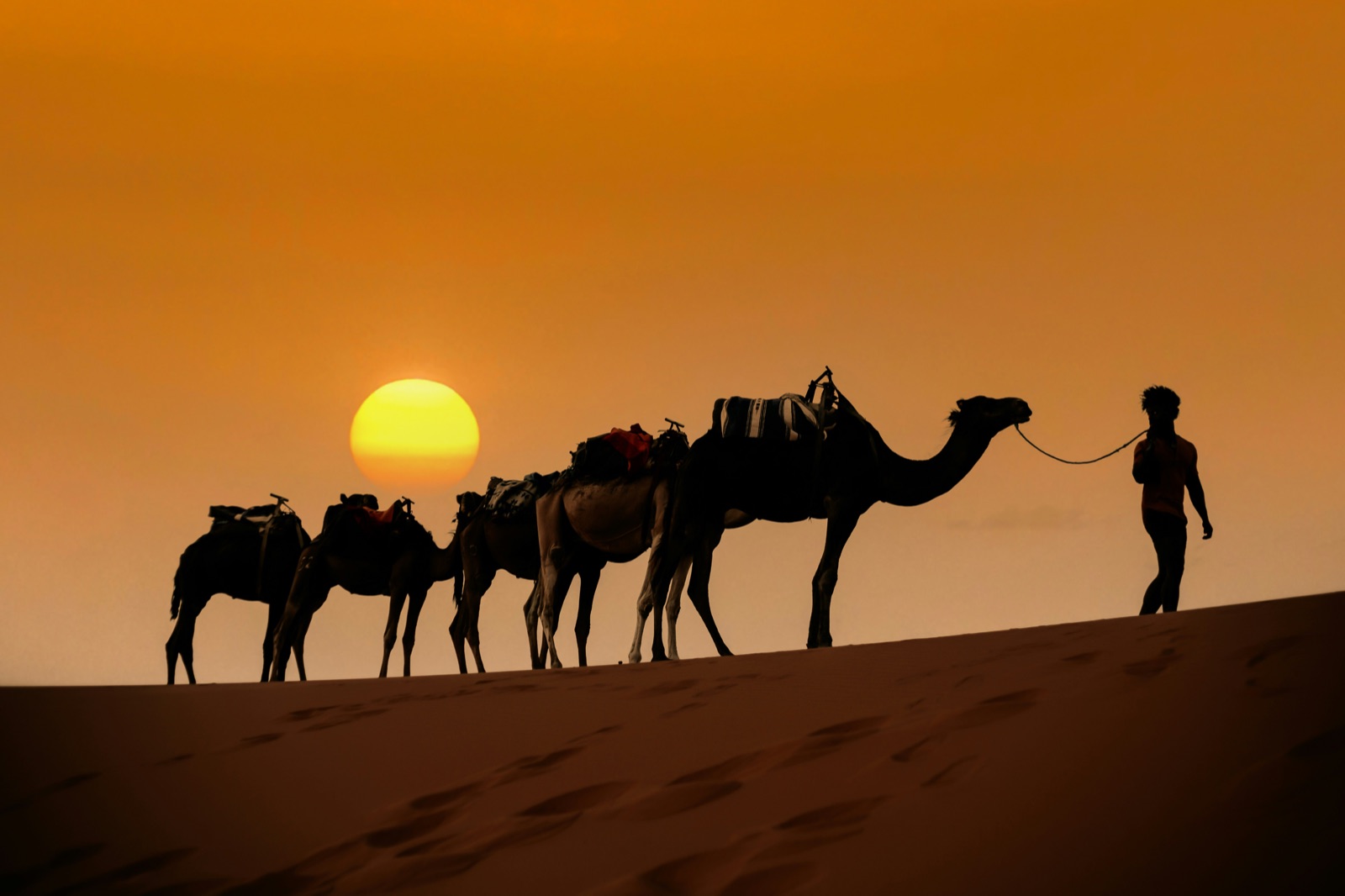 Караван на закате